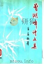 曾湖峰诗文集   1997  PDF电子版封面  7805543283  （清）曾湖峰著；何严审编；曾哲辑存 
