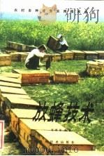放蜂技术   1982  PDF电子版封面  16202·55  赵国战编著 