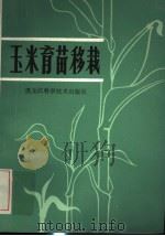 玉米育苗移栽 1985 PDF电子版封面 16217·121 刘继民等编著