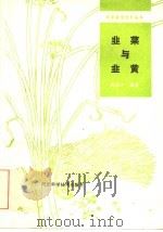 韭菜与韭黄 1985 PDF电子版封面 16365·57 李国才编著