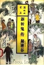 秘密谷 1993 PDF电子版封面 7537807728 张恨水著
