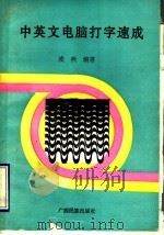 中英文电脑打字速成 1994 PDF电子版封面 7536328982 凌燕编著