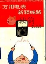 万用电表新颖线路 1995 PDF电子版封面 7805586101 梁正主编