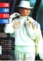 浪潮钩编 1987 PDF电子版封面 7535200893 凌驰,洪源编译