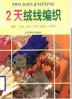 2天绒线编织 帽子、手套、围巾、袜子、披肩、小饰物 1995 PDF电子版封面 7533009150 陈培等编