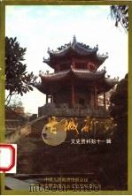新野文史资料  第11辑  古城新野（1995 PDF版）