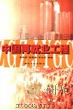 中国再就业工程   1999  PDF电子版封面  7216027108  辜胜阻，陈银娥，李永周等著 