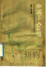 中国工人阶级 1990 PDF电子版封面 7805572658 孙洪涛