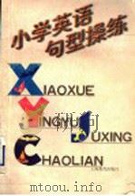 小学英语句型操练 1998 PDF电子版封面 7532052826 金光华编著