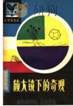 放大镜下的奇观 1982 PDF电子版封面 R7093·731 张岳隋编译