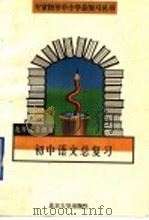 初中语文总复习（1995 PDF版）