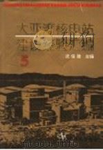 大亚湾核电站建设经验汇编  第5辑   1995  PDF电子版封面  750220993X  沈俊雄主编 