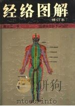 经络图解 1991 PDF电子版封面 7533504879 蔺云桂著