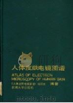 人体皮肤电镜图谱 1990 PDF电子版封面 7810232522 《人体皮肤电镜图谱》编写组编著