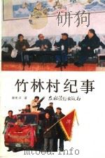 竹林村纪事 1989 PDF电子版封面 7504808083 郝光兴著