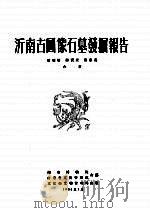 沂南古画像石墓发掘报告 1956 PDF电子版封面 曾昭燏,蒋宝庚,黎忠义合著;南京博物院,山东省文物管理处合编