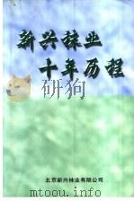 新兴袜业十年历程（ PDF版）