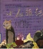 小石头记   1996  PDF电子版封面  7536023073  贾平凹撰文；李饶藏石 