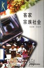 客家宗族社会   1995  PDF电子版封面  753341943X  孔永松，李小平著 