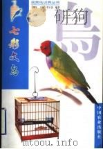 七彩文鸟 1999 PDF电子版封面 7109059804 王增年主编;莫玉忠编著