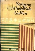 实用民事法律顾问 1991 PDF电子版封面 7810310941 李鸿群,郭煜振主编