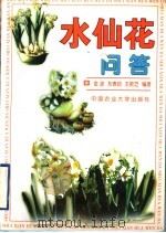 水仙花问答   1999  PDF电子版封面  7810660829  金波等编著 