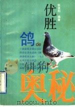 优胜鸽的奥秘 1996 PDF电子版封面 7533216237 张坚利编著