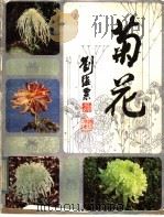 菊花 1985 PDF电子版封面 8081·13646 刘师汉,洪波,徐欣,梅慧敏编
