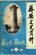 藤县文史资料 第10辑 1993 PDF电子版封面 藤县政协文史资料委员会编