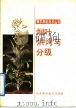 烟叶烘烤与分级（1989 PDF版）
