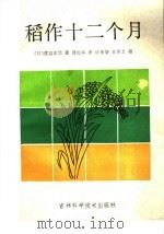 稻作十二个月 1985 PDF电子版封面 16376·34 (日)渡边正信著;修长兴译