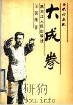 大成拳   1991  PDF电子版封面  7207020112  王国维编著 