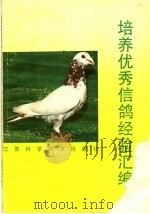 培养优秀信鸽经验汇编   1989  PDF电子版封面  7534506980  胡荫民编著 
