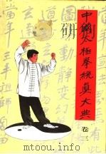 中国太极拳统真大典 卷3 1998 PDF电子版封面 7801031067 李兆生著