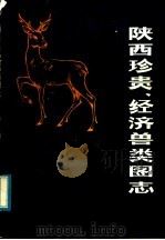 陕西珍贵经济兽类图志 1981 PDF电子版封面 13202·23 陕西省动物研究所主编