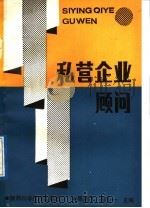 私营企业顾问   1989  PDF电子版封面  7536903642  陈燕飞，郎少一主编 