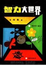 智力大世界  续集   1992  PDF电子版封面  7502714960  钱树庠编绘 