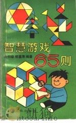 智慧游戏65则 1993 PDF电子版封面 7805116024 朱仰慈,郑菡萍编著