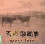 孙志钧画集   1996  PDF电子版封面  7500303041  孙志钧绘 