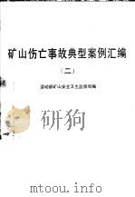 矿山伤亡事故典型案例汇编 2 1993 PDF电子版封面 750451179X 劳动部矿山安全卫生监察局编