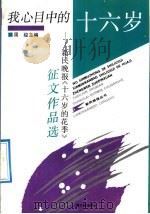 我心目中的十六岁 新民晚报《十六岁的花季》征文作品选 1992 PDF电子版封面 7208014884 周骏主编