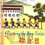 拾豆豆（1976 PDF版）