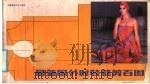 最新国外时装裁剪百图（1985 PDF版）