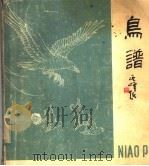 鸟谱 1983 PDF电子版封面 8026·0512 任宏武编绘