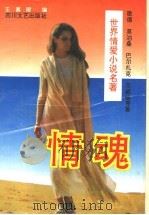 情魂（1995 PDF版）