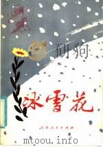 冰雪花（1981 PDF版）