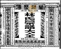 林氏宗谱大全 PDF电子版封面