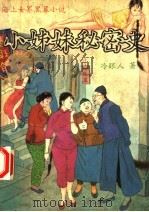 小姊妹秘密史 1993 PDF电子版封面 7505201239 冷眼人著