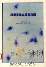 肠道寄生虫鉴别指南 图片 1998 PDF电子版封面 7117029773 世界卫生组织编;薛燕萍等译