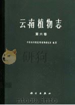 云南植物志 第6卷 种子植物 1995 PDF电子版封面 7030042891 中国科学院昆明植物研究所编著